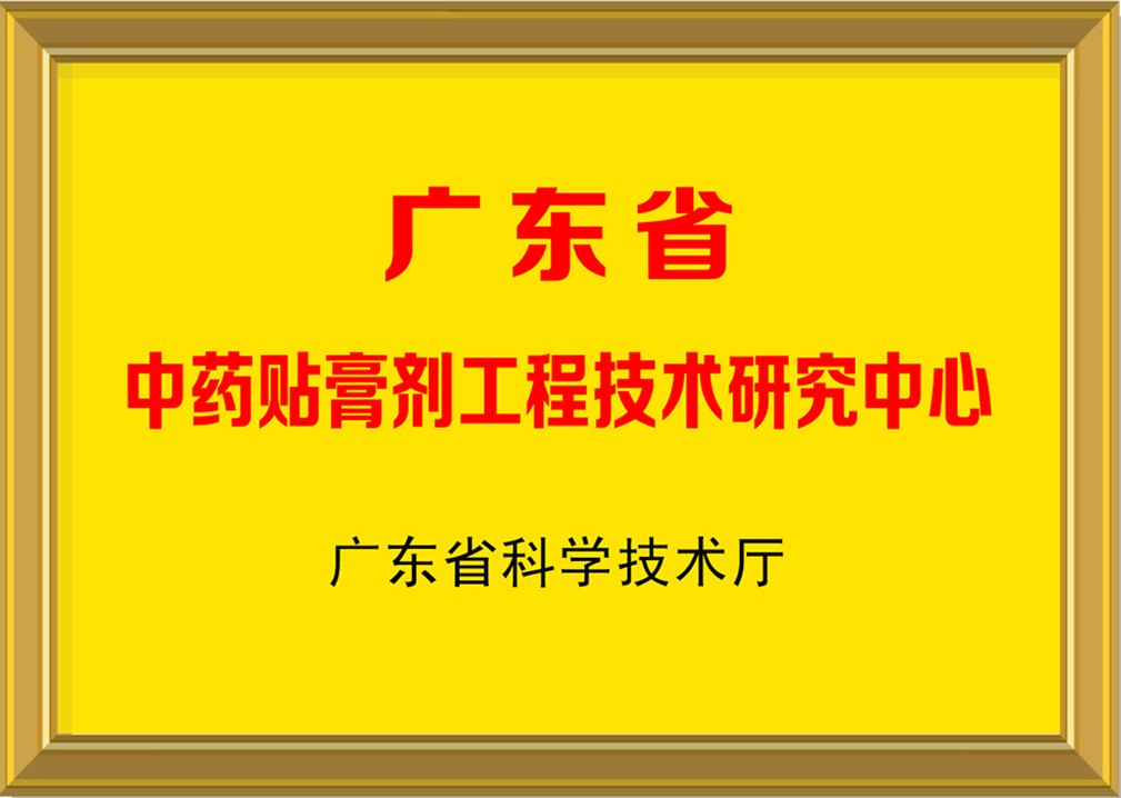 廣東省中藥貼膏劑工程技術(shù)中心-2-2.JPG